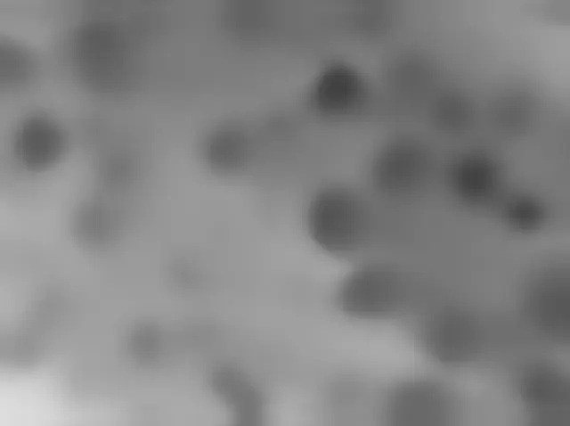 Sol 4602: Mars Hand Lens Imager (MAHLI)