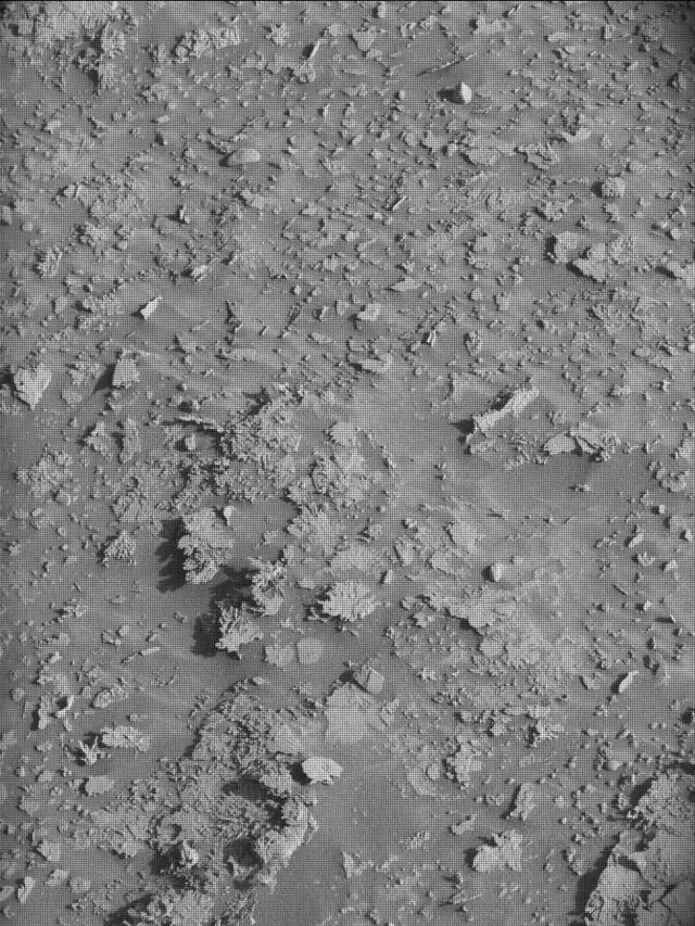 Sol 4605: Mast Camera (Mastcam)