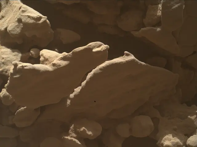 Sol 4605: Mars Hand Lens Imager (MAHLI)
