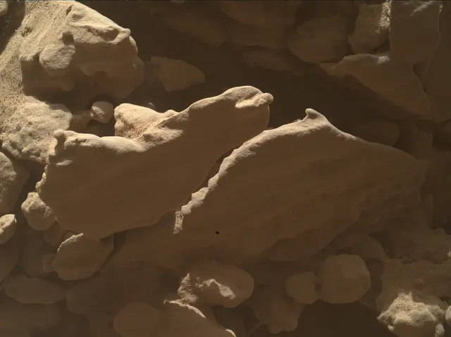 Sol 4605: Mars Hand Lens Imager (MAHLI)