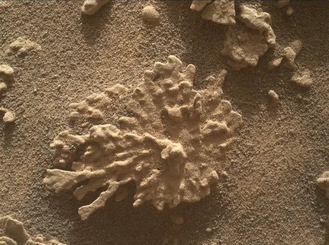 Sol 4608: Mars Hand Lens Imager (MAHLI)