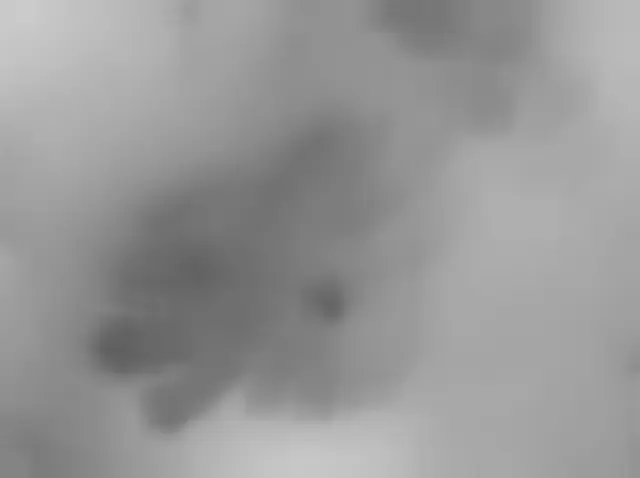 Sol 4608: Mars Hand Lens Imager (MAHLI)