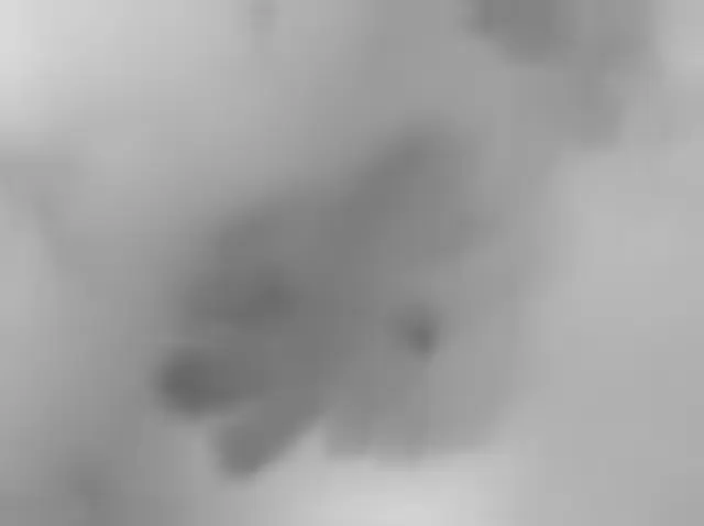 Sol 4608: Mars Hand Lens Imager (MAHLI)