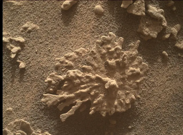 Sol 4608: Mars Hand Lens Imager (MAHLI)
