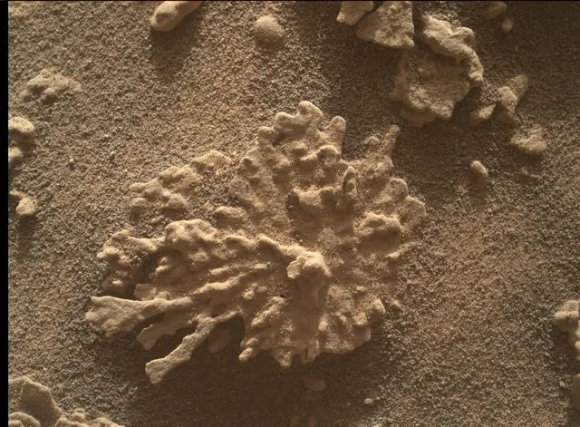 Sol 4608: Mars Hand Lens Imager (MAHLI)