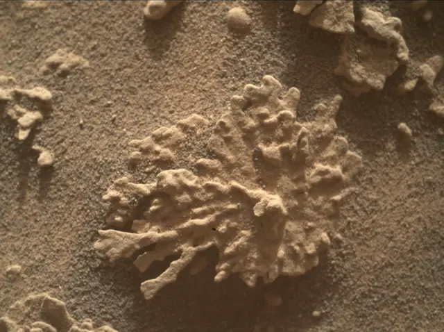 Sol 4608: Mars Hand Lens Imager (MAHLI)