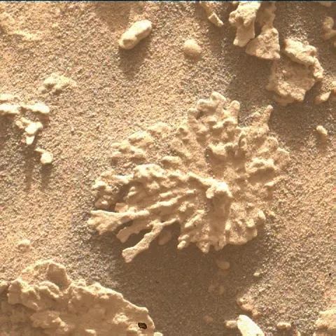 Sol 4608: Mars Hand Lens Imager (MAHLI)