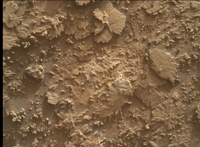 Sol 4608: Mars Hand Lens Imager (MAHLI)