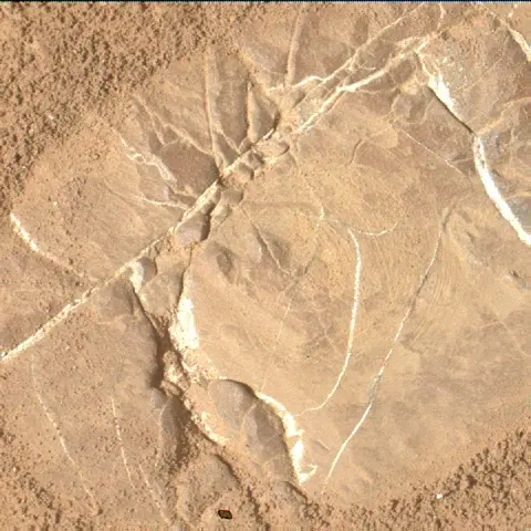 Sol 4614: Mars Hand Lens Imager (MAHLI)