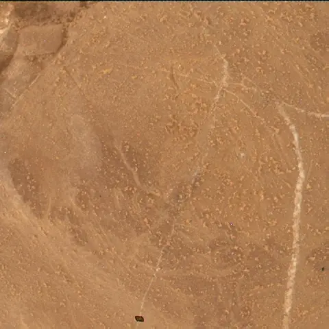 Sol 4614: Mars Hand Lens Imager (MAHLI)