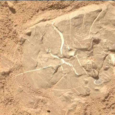 Sol 4616: Mars Hand Lens Imager (MAHLI)