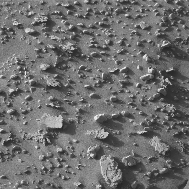 Sol 4618: Mast Camera (Mastcam)