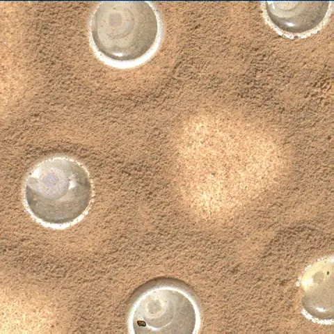 Sol 4618: Mars Hand Lens Imager (MAHLI)