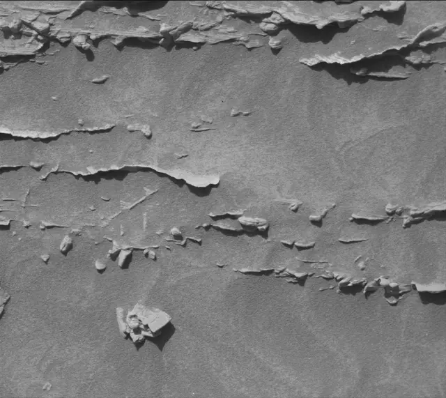 Sol 4623: Mast Camera (Mastcam)
