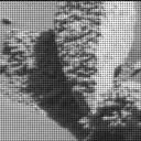 Sol 4625: Mast Camera (Mastcam)