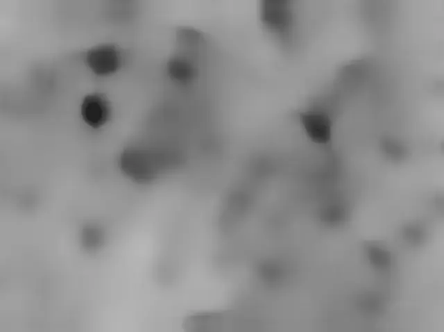 Sol 4629: Mars Hand Lens Imager (MAHLI)