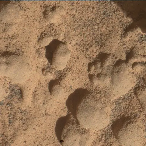 Sol 4629: Mars Hand Lens Imager (MAHLI)