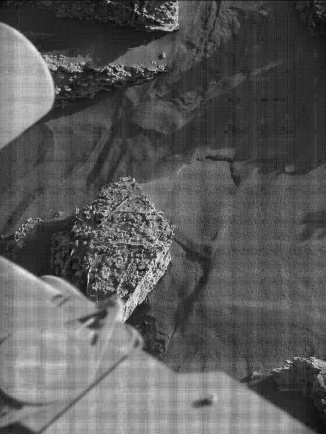 Sol 4634: Mast Camera (Mastcam)