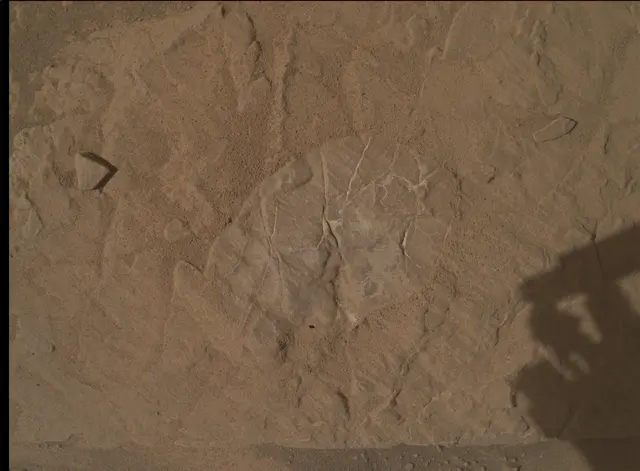 Sol 4634: Mars Hand Lens Imager (MAHLI)