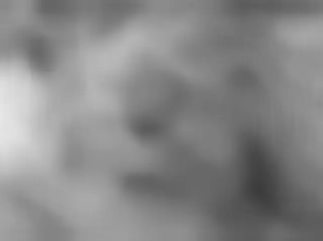 Sol 4639: Mars Hand Lens Imager (MAHLI)