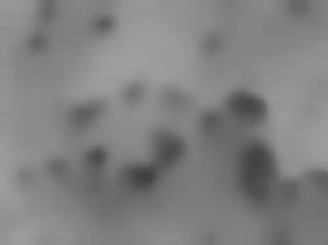 Sol 4643: Mars Hand Lens Imager (MAHLI)