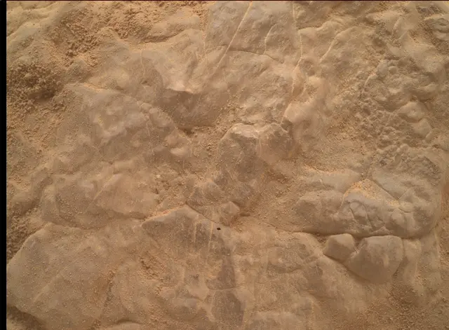 Sol 4646: Mars Hand Lens Imager (MAHLI)
