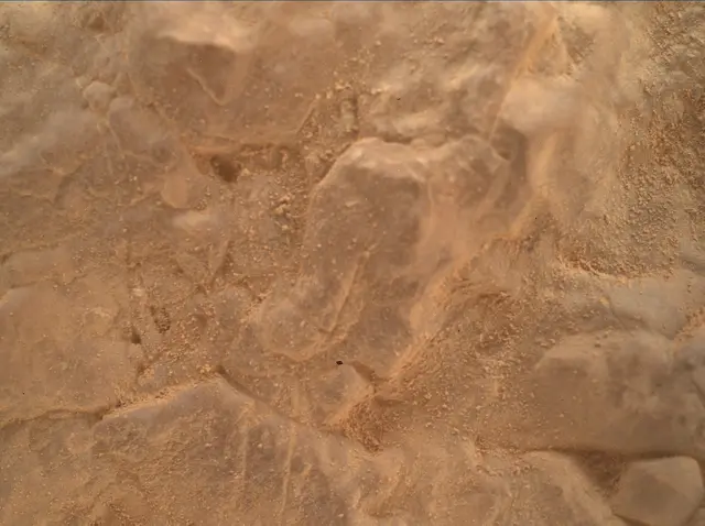 Sol 4646: Mars Hand Lens Imager (MAHLI)