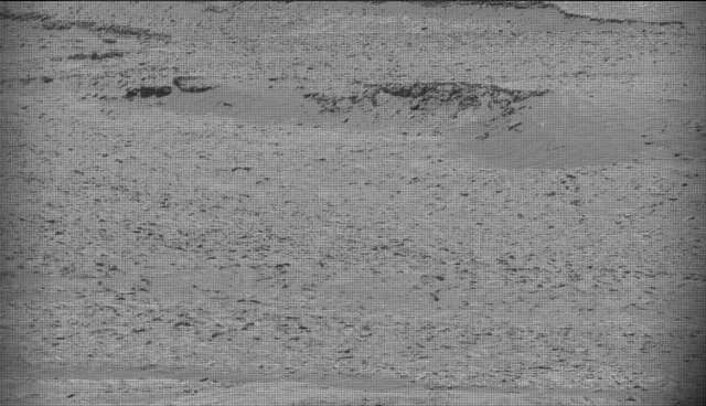 Sol 4652: Mast Camera (Mastcam)