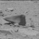 Sol 4655: Mast Camera (Mastcam)