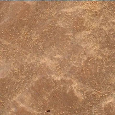 Sol 4665: Mars Hand Lens Imager (MAHLI)