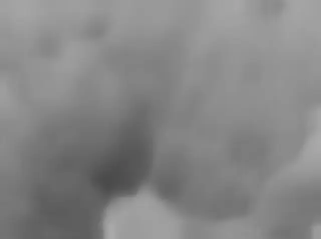 Sol 4677: Mars Hand Lens Imager (MAHLI)