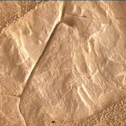 Sol 4683: Mars Hand Lens Imager (MAHLI)
