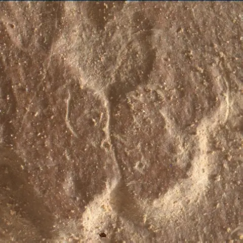 Sol 4683: Mars Hand Lens Imager (MAHLI)