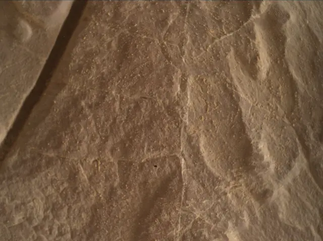 Sol 4683: Mars Hand Lens Imager (MAHLI)