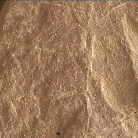 Sol 4683: Mars Hand Lens Imager (MAHLI)
