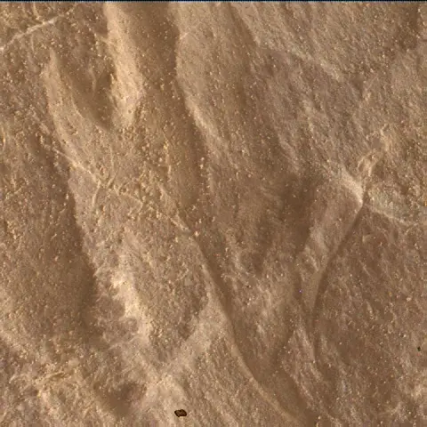 Sol 4683: Mars Hand Lens Imager (MAHLI)