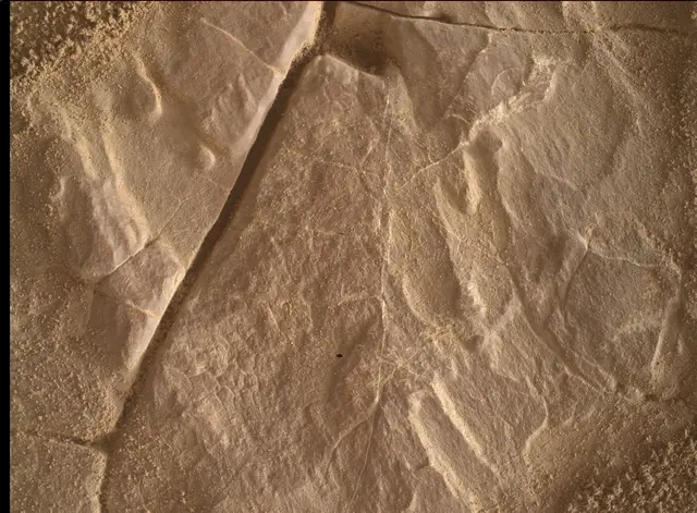 Sol 4683: Mars Hand Lens Imager (MAHLI)