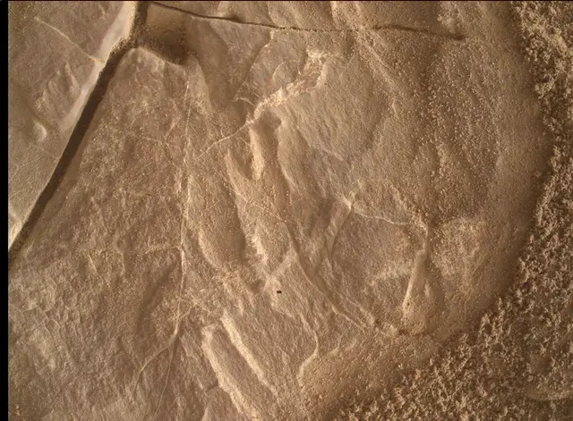 Sol 4683: Mars Hand Lens Imager (MAHLI)