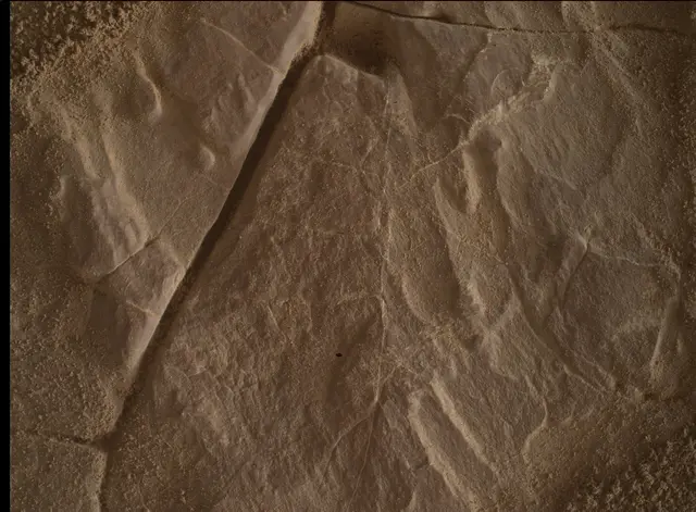 Sol 4683: Mars Hand Lens Imager (MAHLI)