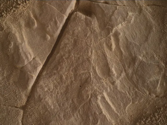 Sol 4683: Mars Hand Lens Imager (MAHLI)