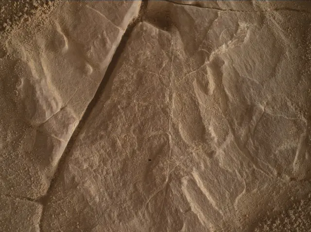 Sol 4683: Mars Hand Lens Imager (MAHLI)
