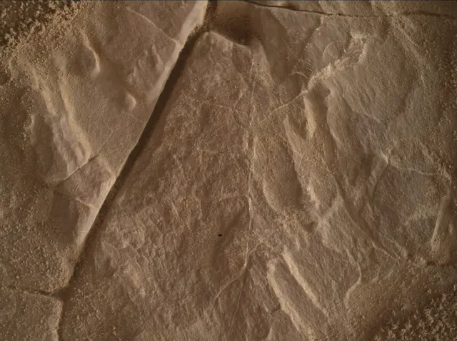 Sol 4683: Mars Hand Lens Imager (MAHLI)