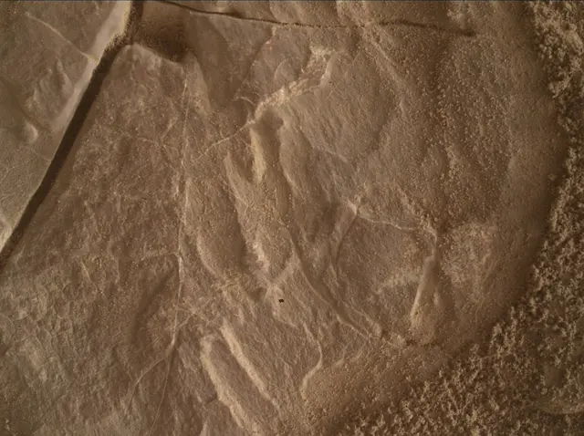 Sol 4683: Mars Hand Lens Imager (MAHLI)