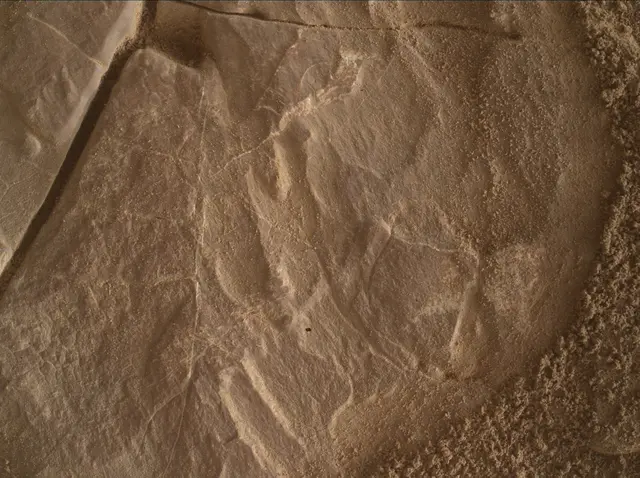 Sol 4683: Mars Hand Lens Imager (MAHLI)