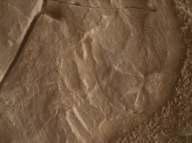 Sol 4683: Mars Hand Lens Imager (MAHLI)