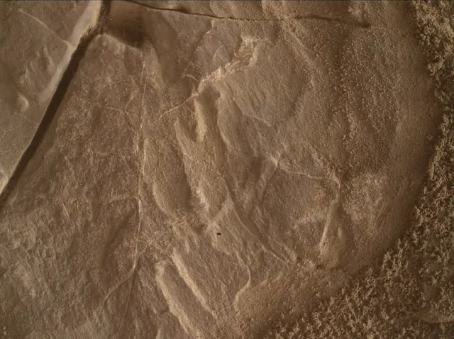 Sol 4683: Mars Hand Lens Imager (MAHLI)