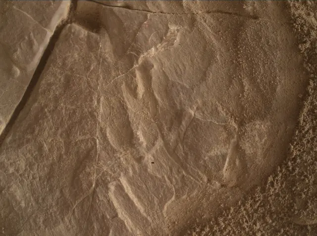 Sol 4683: Mars Hand Lens Imager (MAHLI)
