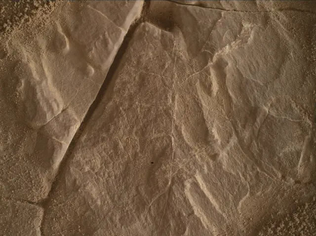Sol 4684: Mars Hand Lens Imager (MAHLI)