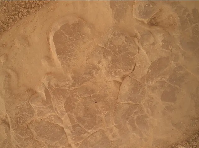 Sol 4752: Mars Hand Lens Imager (MAHLI)