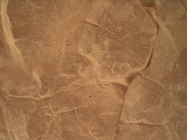 Sol 4752: Mars Hand Lens Imager (MAHLI)